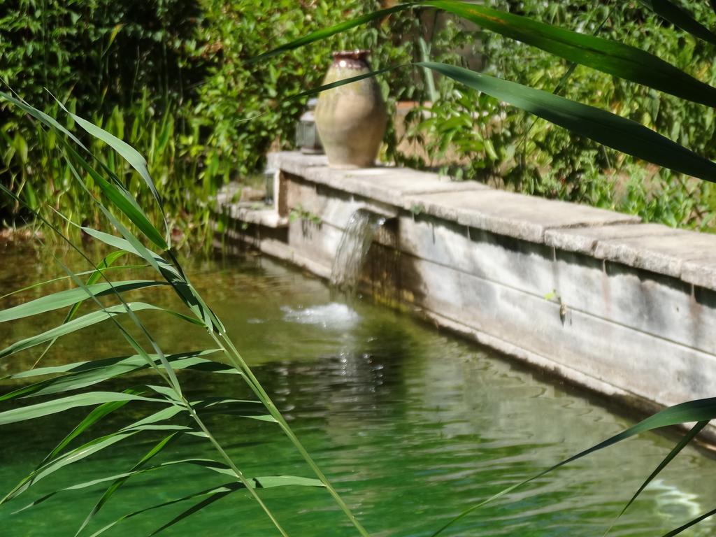Jardin De Canaan Saint-Julien-de-Chedon